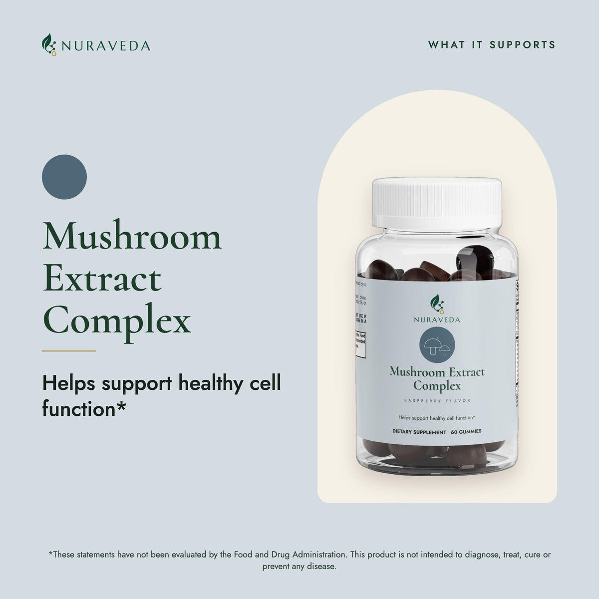 Nuraveda Mushroom Extract Complex: What it supports