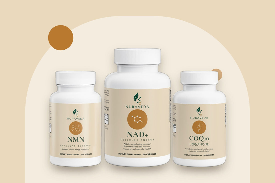 Nuraveda Almanac: Understanding NAD+ in plain words