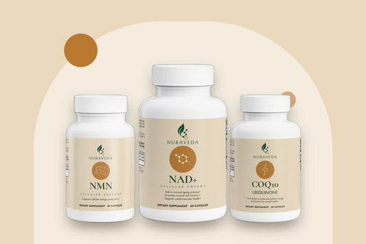 Nuraveda Almanac: Understanding NAD+ in plain words