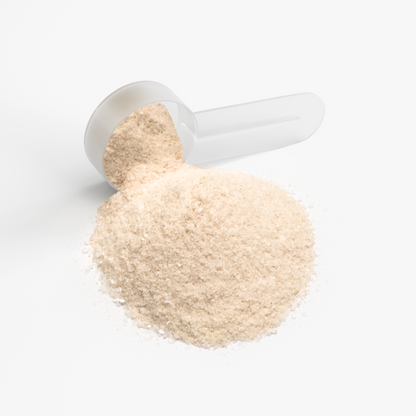 Nuraveda Hydration Powder (Lemonade)