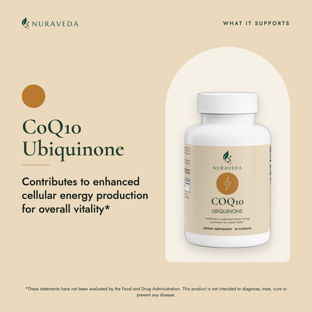 Nuraveda CoQ10 Ubiquinone: What it supports