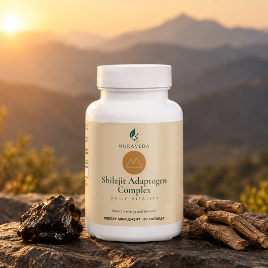 Nuraveda Shilajit Adaptogen Complex on a rock in the mountains at sunset